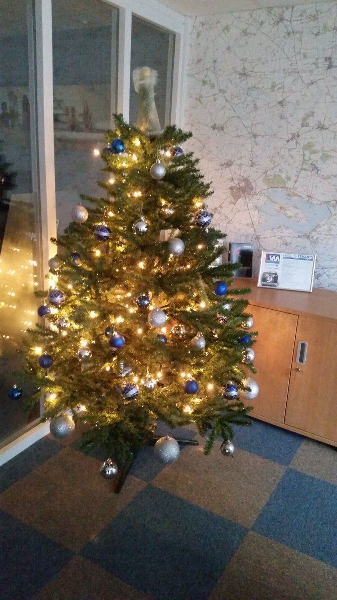 RebeccaEColl's tweet photo. Our Watson Mitchell Christmas tree is up in #Stamford ! https://t.co/EOTllbC7YU