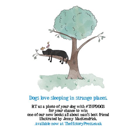 Embedded image permalink