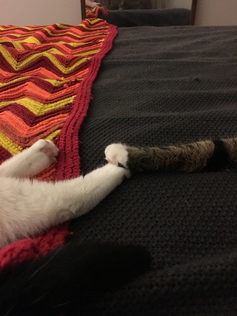 Julia / Jules tweet media