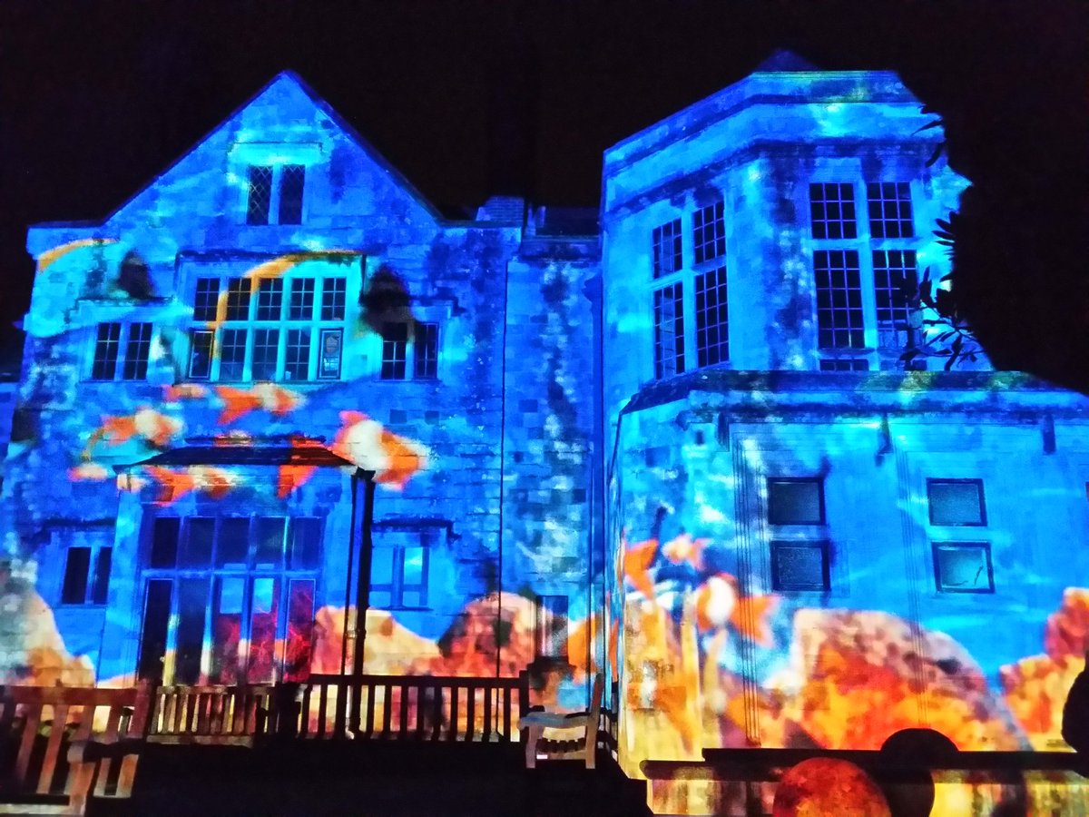altum68's tweet photo. This place is beyond magic. Enchanting.  @EnchantedLewes 💙 https://t.co/hoyRLDEVU1