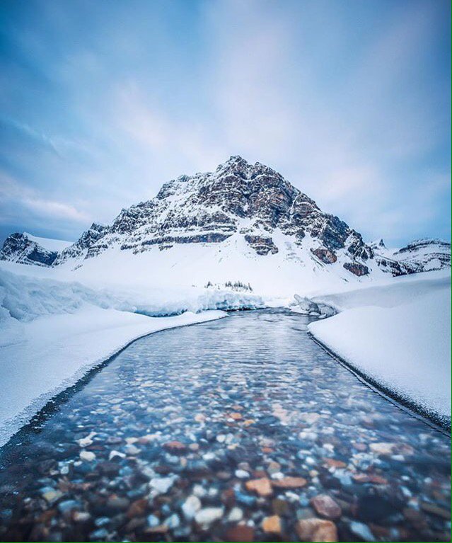 Highline Magazine tweet media