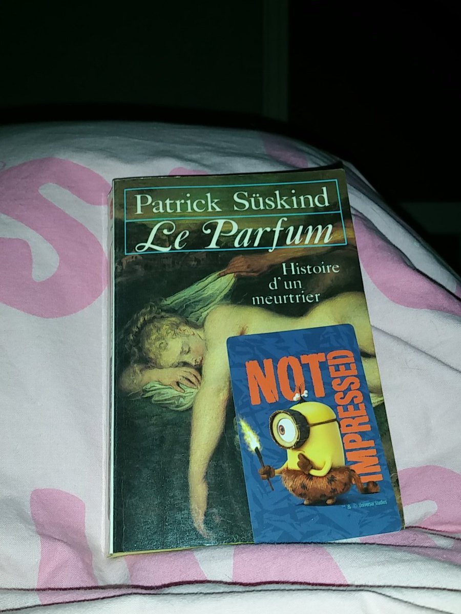 lireoudormir's tweet photo. Lecture du moment #pasdinternet  #lireunclassique https://t.co/6gf8dvN1IN