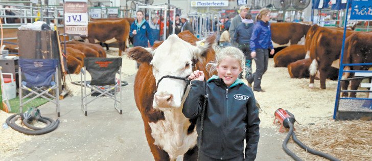 CDNag's tweet photo. Video: Pint-size producer at home in the cattle ring https://t.co/X4zKT8LsQU #westcdnag #cwa15 #cdnag https://t.co/aJkwOp3Az7