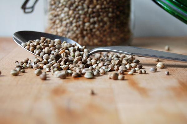 Earthly_Choice's tweet photo. Hemp seeds first came to North America in 1606 when planted by French Botanist Louis Hebert. https://t.co/nECwQ35YVe