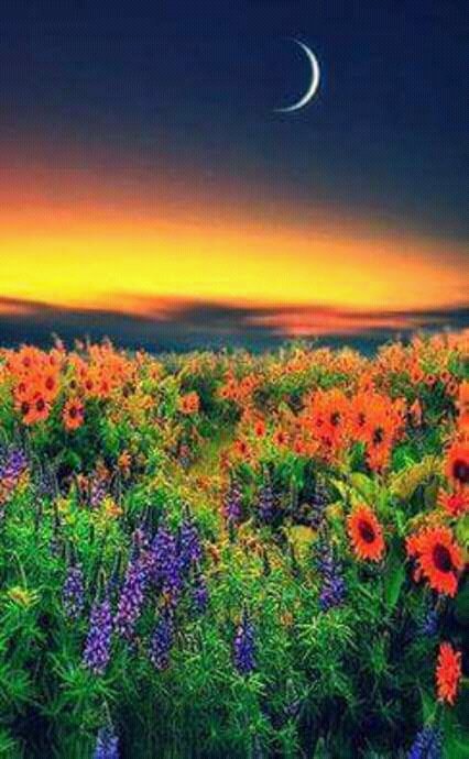 Glefeston's tweet photo. Greatweekend @nico_gaia @drssmile @FelDakat @ana_austen @Azhar_ward @Enastix2 @Cray10Angie @barrettric @PodettiLaura https://t.co/WTRVSlVVis