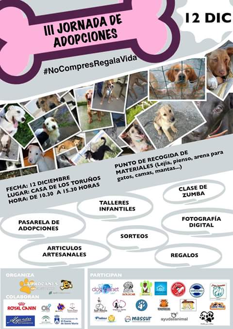 Khatucai's tweet photo. @IgualdadAnimal difundimos? https://t.co/0NOrAvmVyF