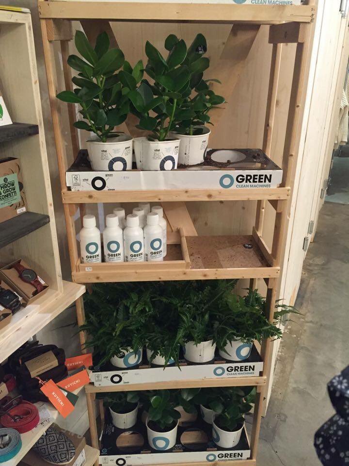 <a href="/Ogreen_Plants/">Ogreen</a> ook gespot in Mechelen, Belgie