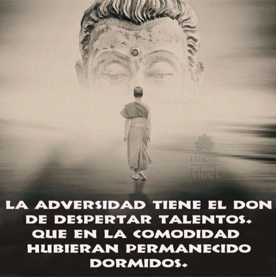 BuscaSabiduria's tweet photo. #buscasabiduria https://t.co/QJy7gCYQRy