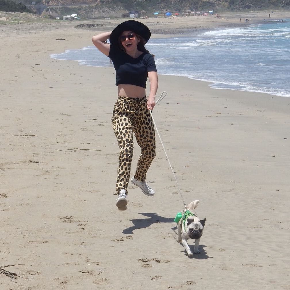 weKitesurf's tweet image. I fly momma like a kite at the beach! #kite #kitesurf #humankite #pug #pugs #puglife #beach #beachlife #puglover #f…