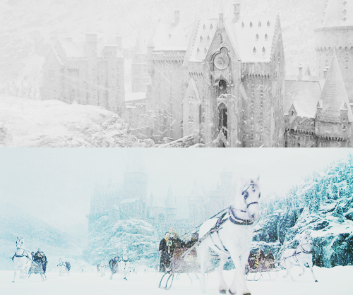 Hogwartssite's tweet image. Una blanca Navidad en Hogwarts. ¿Es mucho pedir?