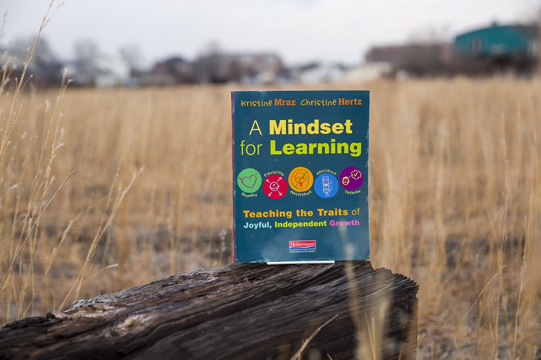 HeinemannPub's tweet image. We were totally just thinking about #MindsetforLearning just now. How could you not? @MrazKristine @christine_hertz