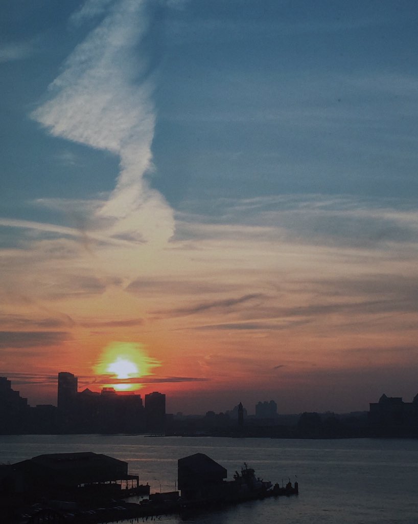 Even clouds are taking flight! #sunrise