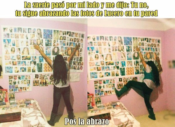 Lucero tweet media