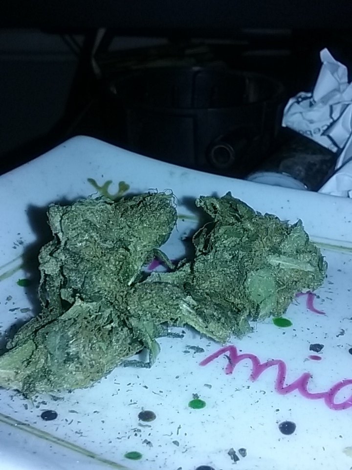 MassGenetics's tweet image. East coast cookies for my 420#Connasoir genetics.greatcutting