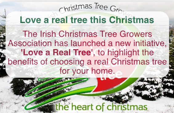 Bordbia's tweet photo. Buying a Christmas Tree? Here's your one stop shop to learn more #LoveARealTree https://t.co/zdygPnqr56 https://t.co/w985tvXLq2