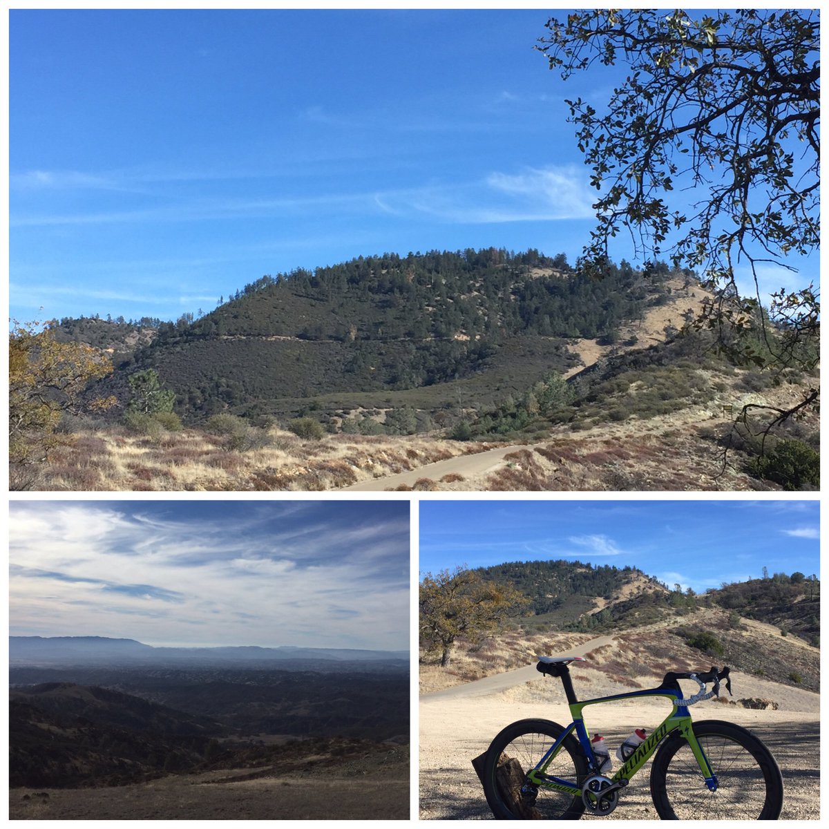figmtnbrewrace's tweet photo. Perfect day for a double fig. Bike racing is right around the corner! #figmtnbrewracing #figfast #drjbikeshop https://t.co/pnTJOnjxRl