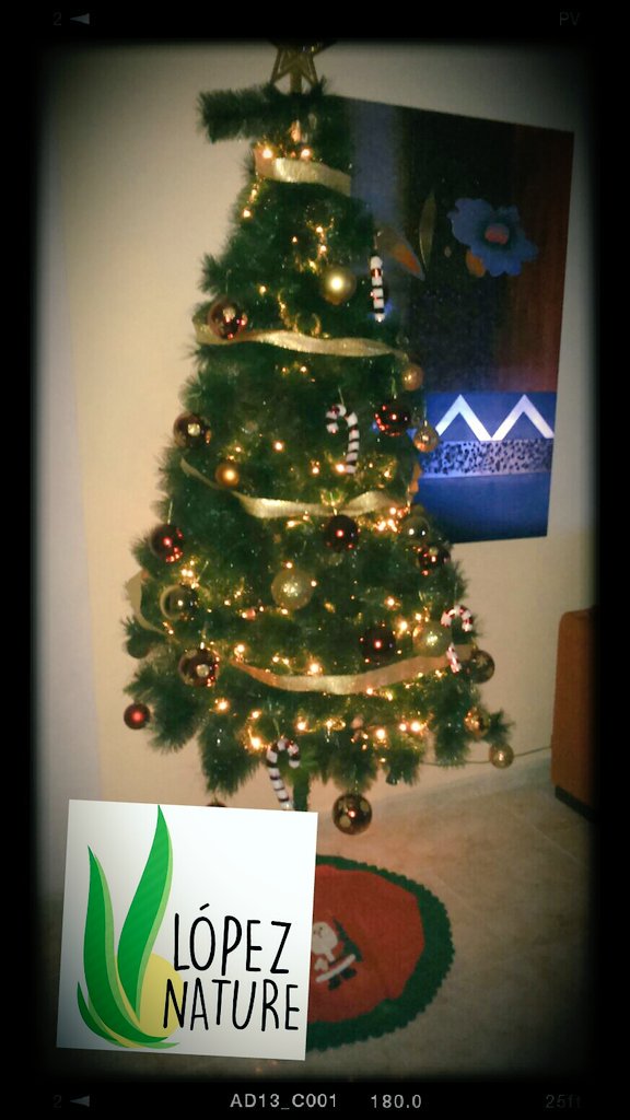 lopeznature's tweet photo. Desde tu herboristeria_lopez_nature,  os deseamos una feliz navidad y próspero  año 2016 #FelicesFiestas  @antonia61 https://t.co/GFCA7lsMK1