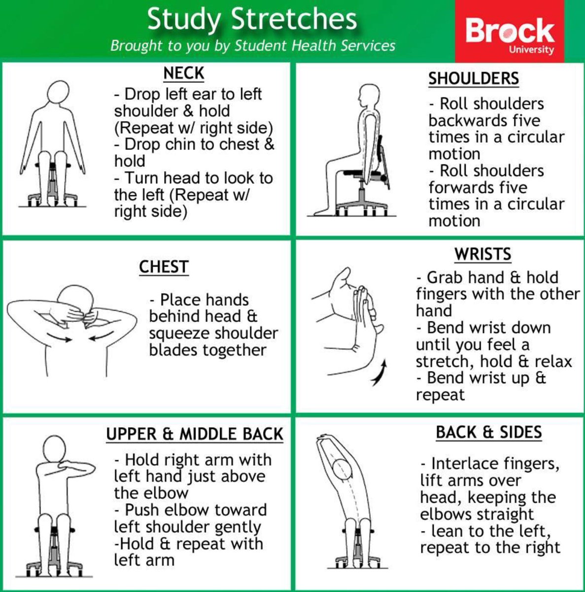 BrockSWAC's tweet photo. Been studying for hours and feeling a little stiff? Take five and try out these stretches to loosen those muscles! https://t.co/lVmbJyweWX