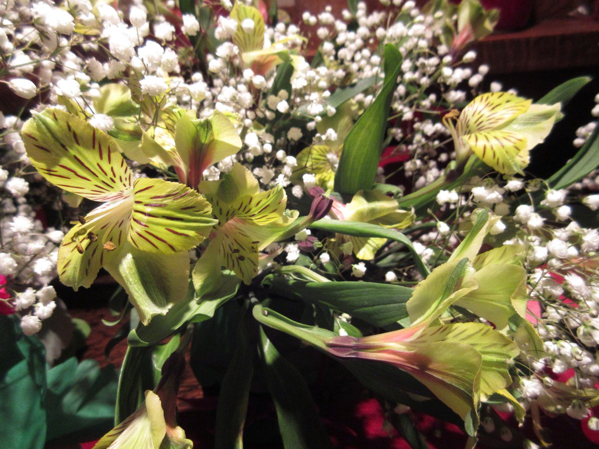 MushypeaJane's tweet image. @KathyBuckworth @theDIYdreamer All my holiday flowers were from PC  love the floral selection #PCPointer @MrsLoulou