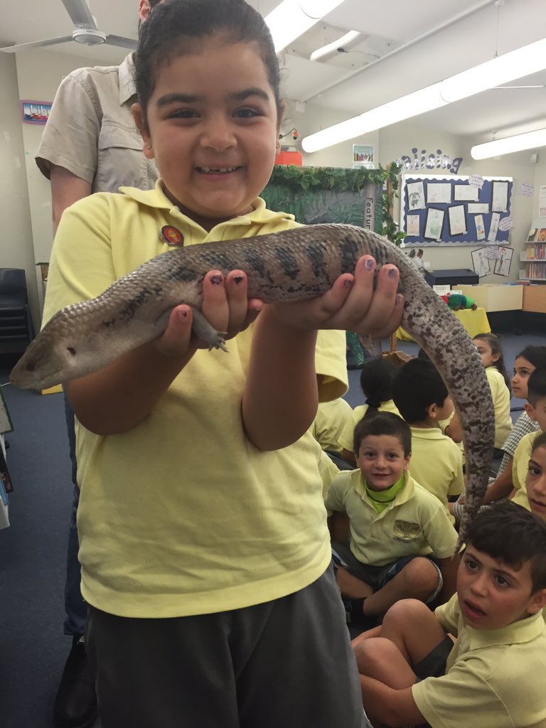 #pbl reward day with Feature Creatures! #safe #respectful #learner <a href="/yasmin_e_ibby/">Yasmin Ibrahim</a>