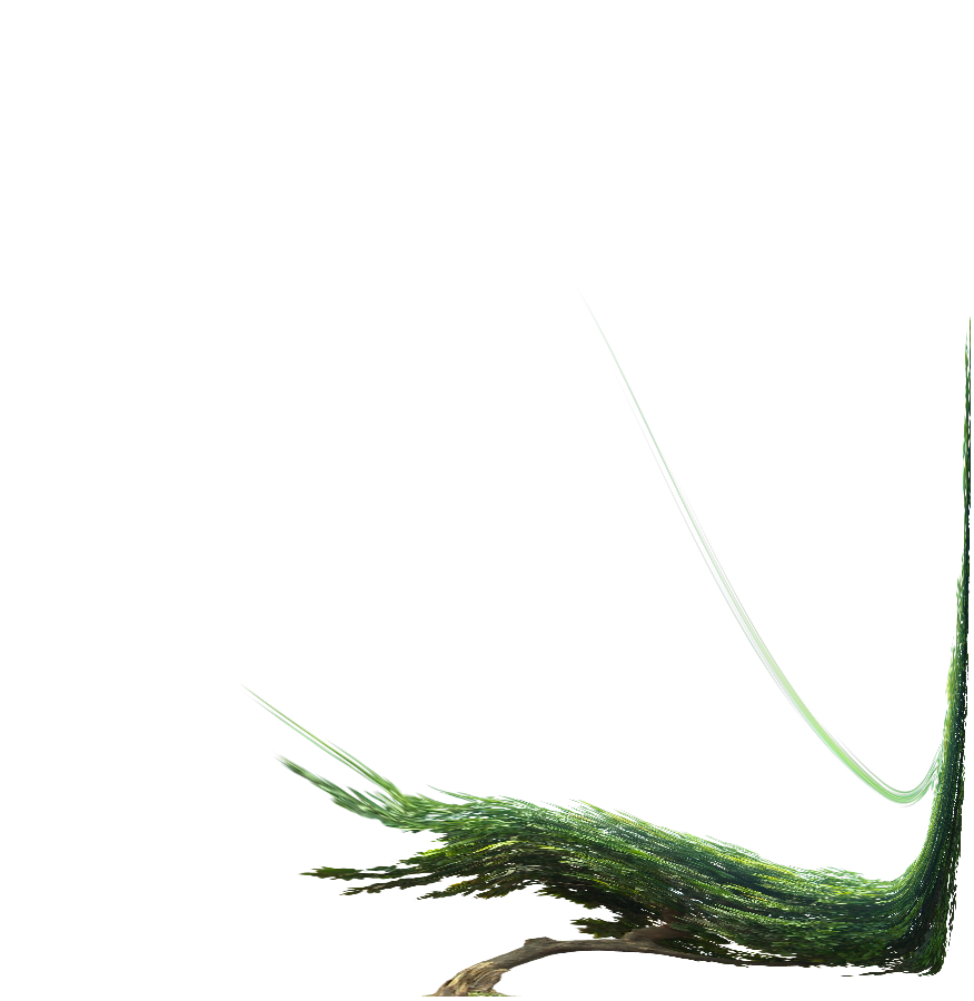 TheCellularWall's tweet photo. Cell walls help plants to stand up. A vote for Cell Wall is a vote for trees that don't sag. #lchsbio #organellewars https://t.co/YCMR1hfTen