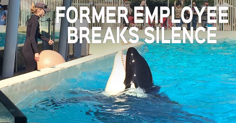 peta's tweet photo. She found strips of orca skin at the bottom of tanks. Former #SeaWorld Employee Speaks Out: https://t.co/1hsAZ6lf7t https://t.co/FGsAKOyDaG