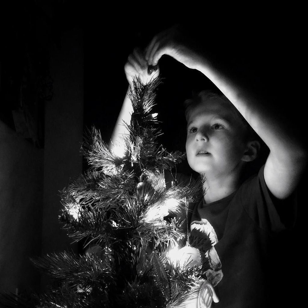 AbbeMPhotos's tweet photo. Putting the finishing touches on his tree #abbemccrackenphotography365year2 #napcp #clicki… https://t.co/0bUARYlBE5 https://t.co/QgtoJY21wQ