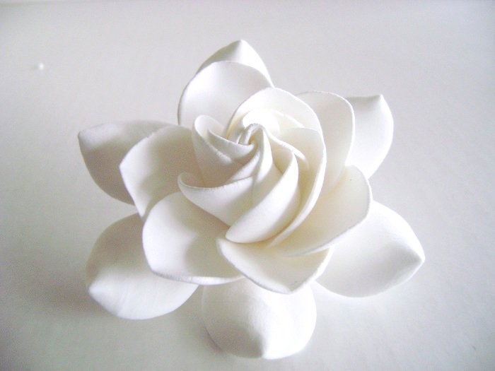 parsiflowers's tweet image. #Gardenia #Hair #Clips #Bridal #Accessories #wedding  by parsi etsy.me/1kGcxaP  @Etsy #etsymntt #handmade