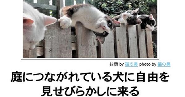 RtNeta's tweet photo. 【話題のネタ】
クソ・・・ https://t.co/t7lmhXJQzB