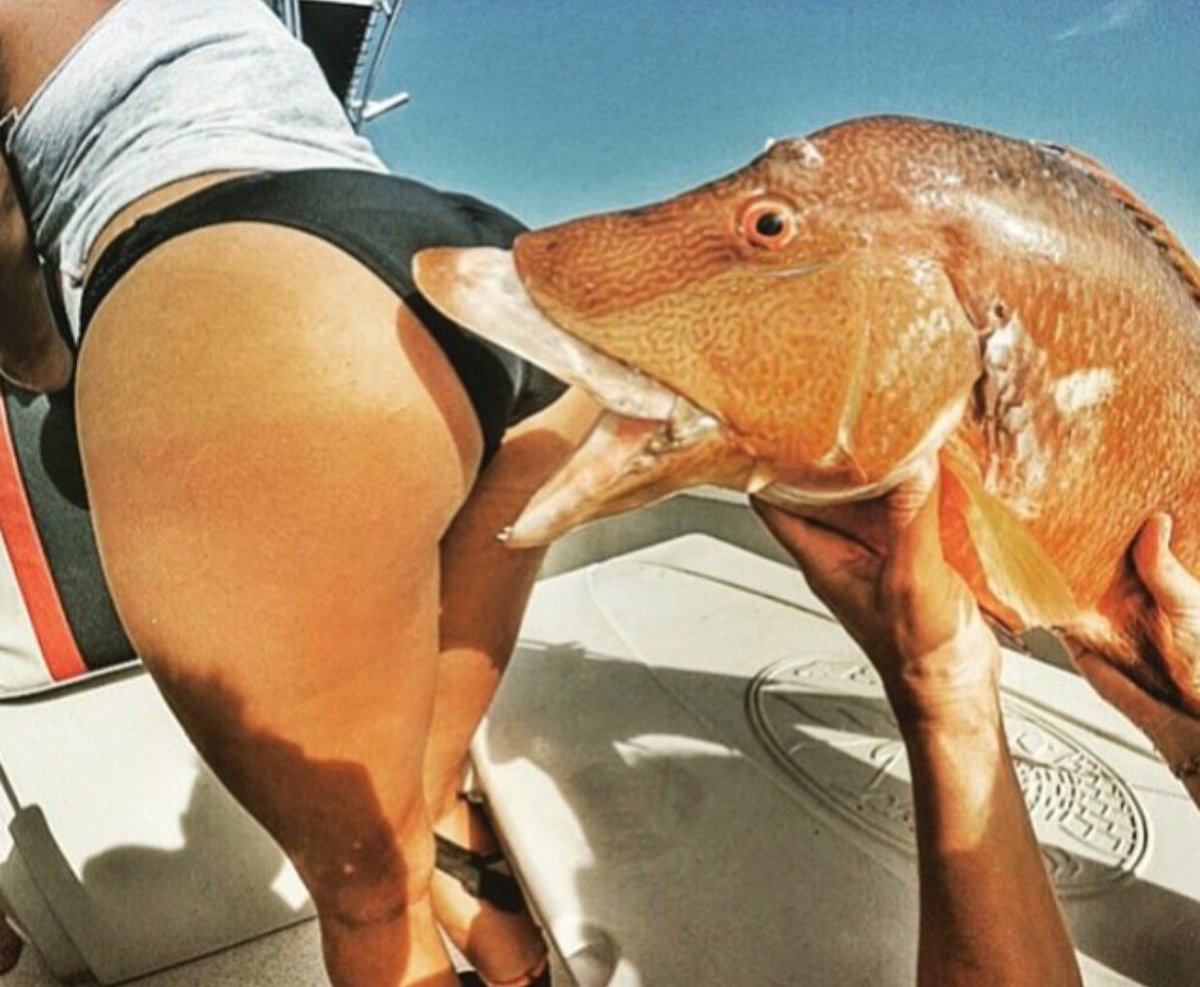 GirlsofFishing's tweet photo. Credit unknown on this one, but it cracks me up https://t.co/kzFW4giyKb