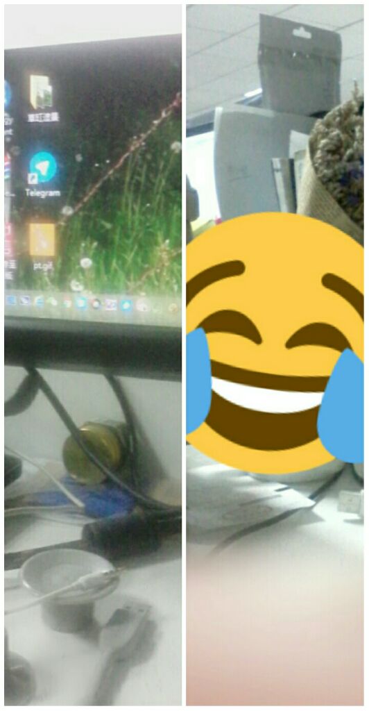 kingsofthz's tweet image. 