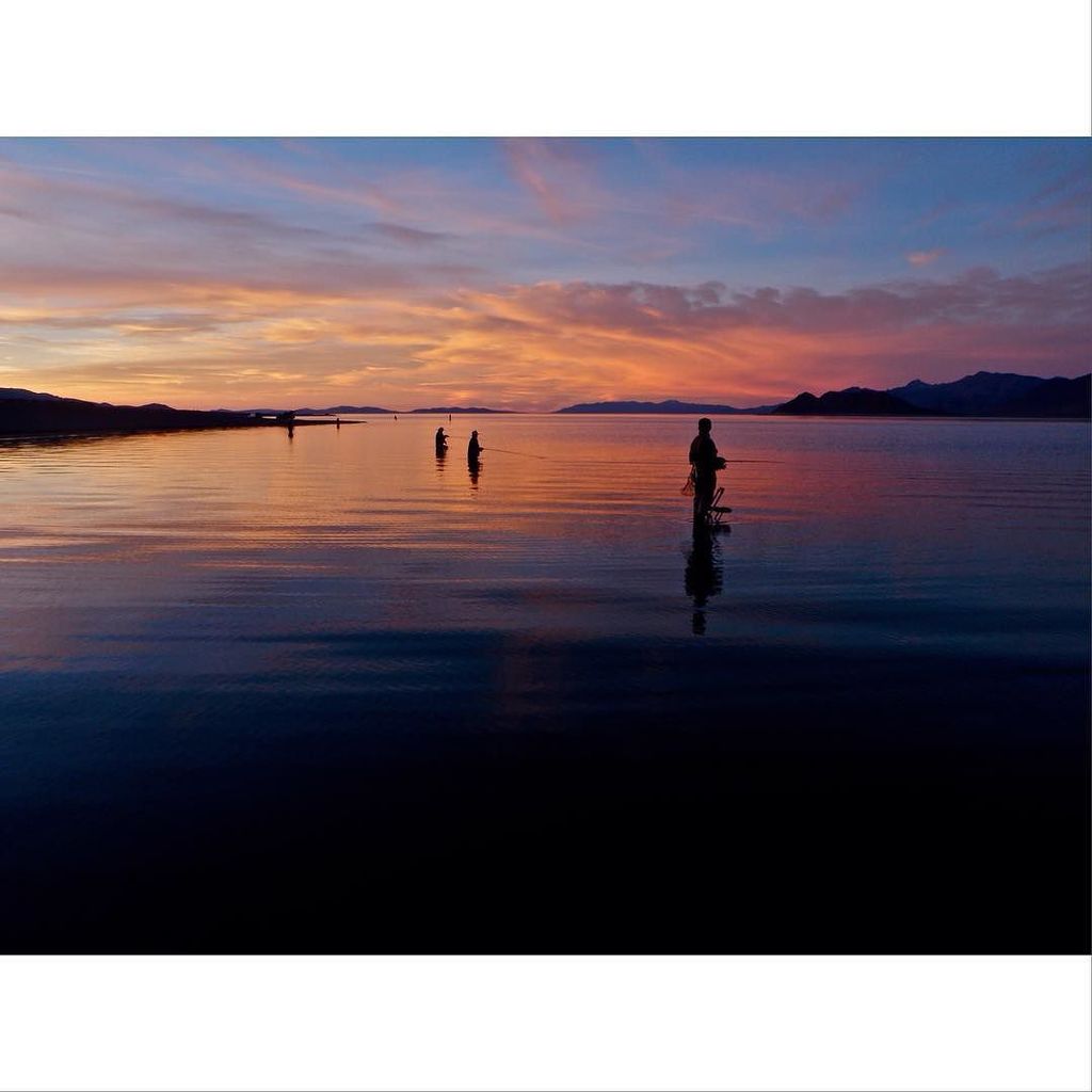 Some reported traffic on tonight's evening commute. #findyourwater 📷 @foesweasel