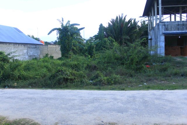 Dalle Sneakers (@dfcshoes) on Twitter photo 