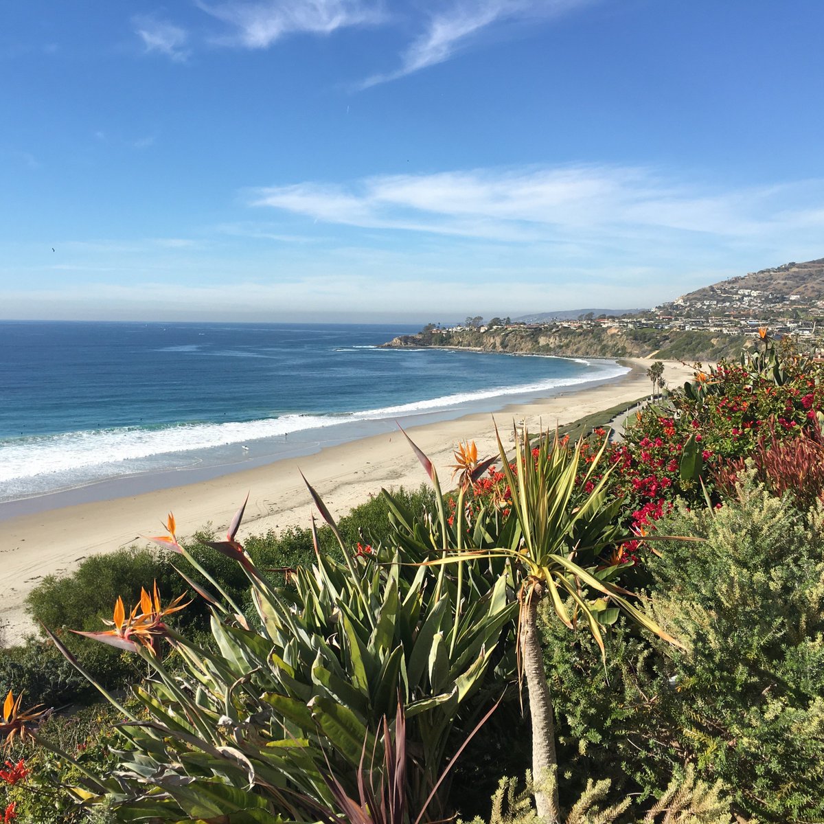 _JanaBrown's tweet photo. One of my favorite places on earth! @RCLagunaNiguel #RitzCarlton #ViewToRemember https://t.co/w01VZhXHDu