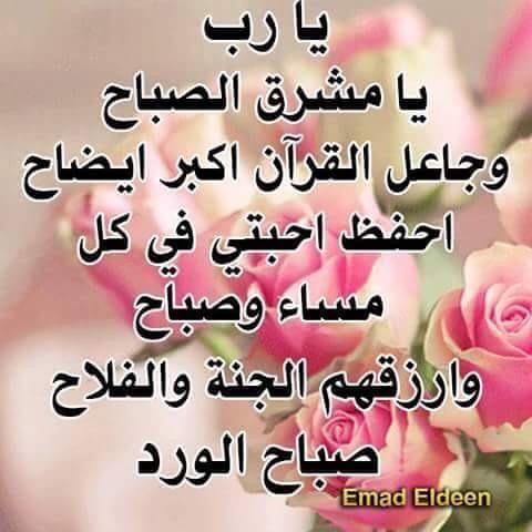 أشواق احمد (@pomo315) on Twitter photo 