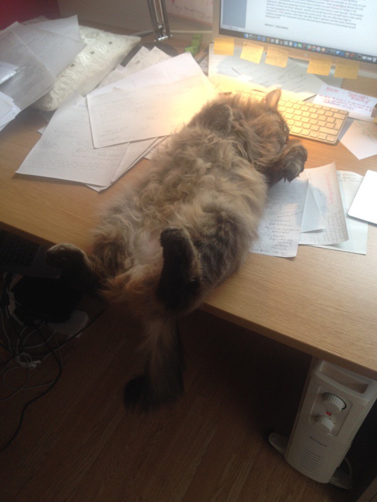 hilpowell's tweet photo. When rest becomes a distraction. Looks like I'm heading into the Hub! @hubbubgroup https://t.co/RJ5Dj1I6o1