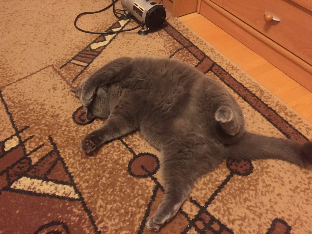 magda_siwik's tweet image. #PanKot