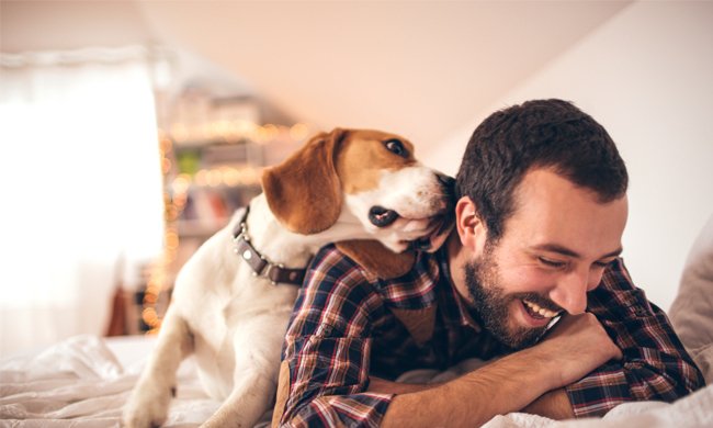 randwclayfield's tweet photo. Pet Friendly Rental Etiquette https://t.co/HvmOPP7OdQ via @randwaustralia #randwclayfield https://t.co/DizAGEOEpq