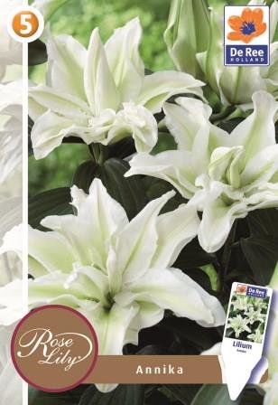 Šogad daudz Jaunumu,pamazām pievienojam katalogam.Ieskaties,katru dienu liekam klāt jaunumus stadisim.lv