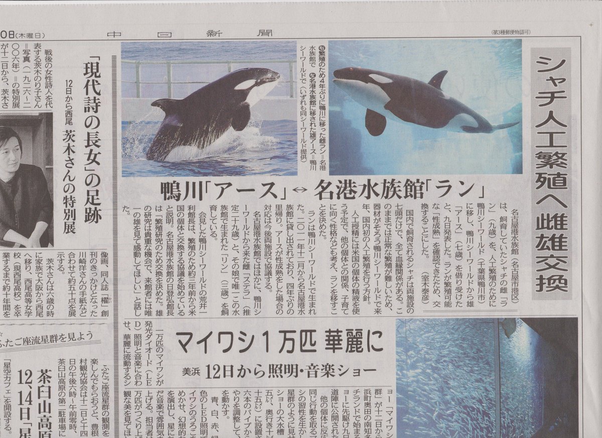 こしみず در توییتر 中日新聞15年12月10日号から引用 名古屋港水族館 鴨川シーワールド シャチ ラン アース 交換輸送 T Co 37vqc52qbk こしみず در توییتر 中日新聞15年12月10日号から引用 名古屋港水族館 鴨川シーワールド シャチ ラン アース 交換輸送 T Co 37vqc52qbk