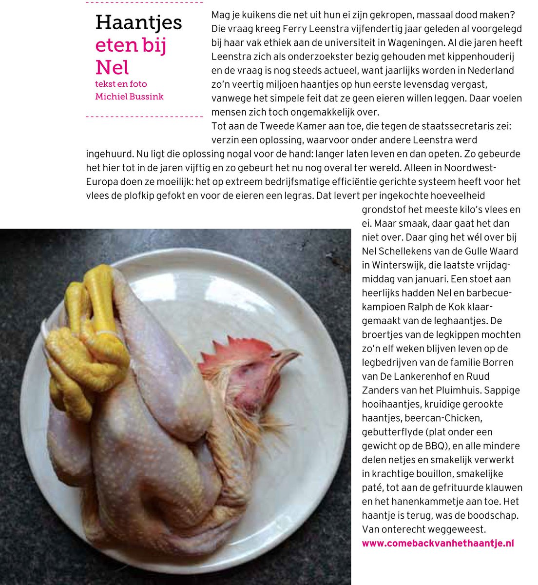 Nel Schellekens tweet media