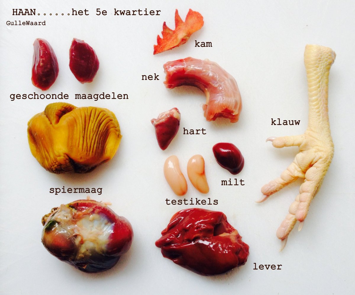 Nel Schellekens tweet media
