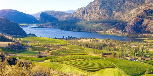 ItIsAGrapeLife's tweet photo. A few more hometown Winery shots from BC. #BCWine If anyone is planning a #Wine holiday. @Winewankers @DemiCassiani https://t.co/ZZMXUHXT5L