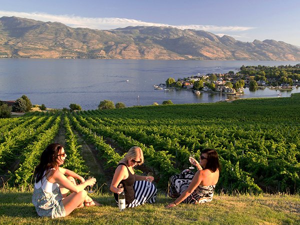 ItIsAGrapeLife's tweet photo. A few more hometown Winery shots from BC. #BCWine If anyone is planning a #Wine holiday. @Winewankers @DemiCassiani https://t.co/ZZMXUHXT5L
