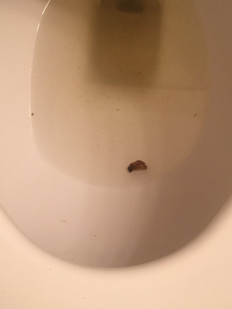 shitslog tweet picture