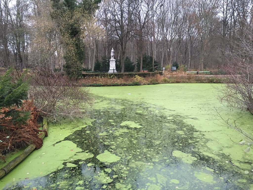 DrKotobuki's tweet photo. Tiergarten, Berlin #AdventuresInGermany https://t.co/WMzzCzuojR