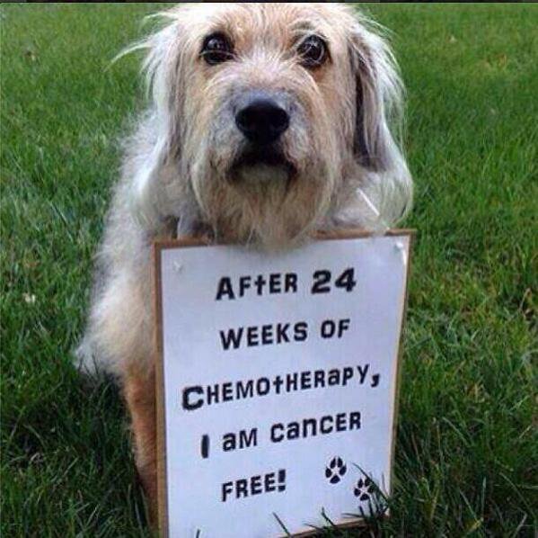 Retweet to congratulate him! '