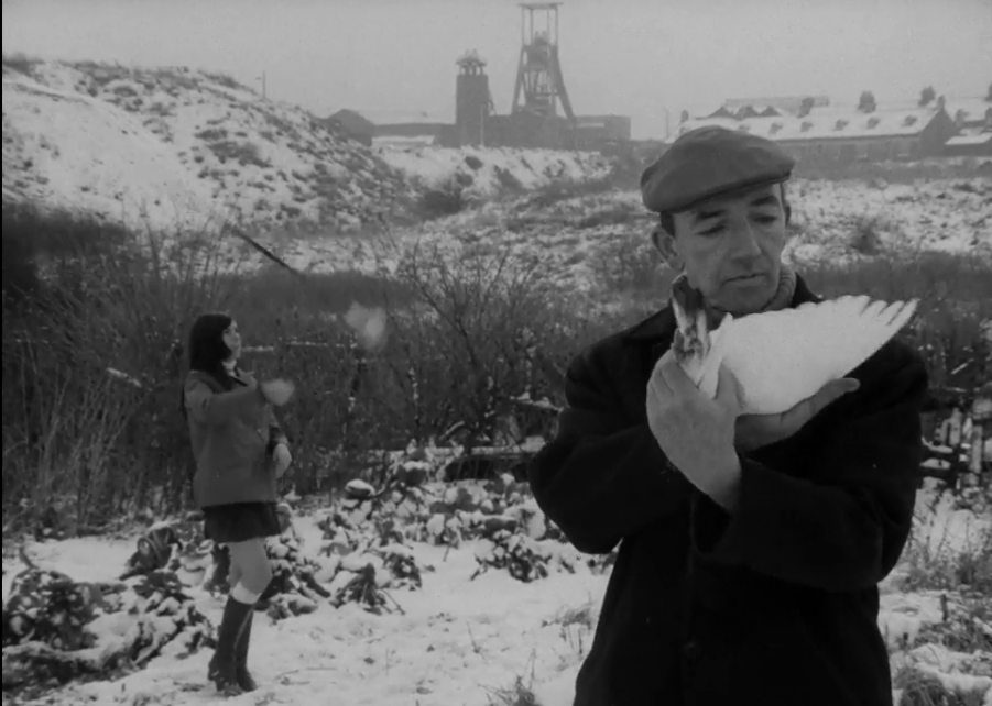 NonFicPatrick's tweet photo. Love this shot. &amp; the film the shot comes from. &amp; series the film comes from  #MiningReview https://t.co/vTBxqMXq0C https://t.co/RHvWaQoR8D