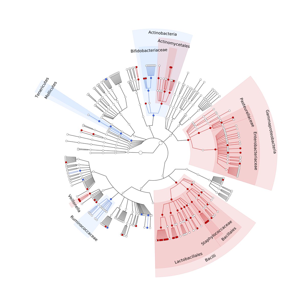 arnauvich's tweet photo. Our work on the effect of proton pump inhibitors on gut microbiota composition https://t.co/I21WQBsrdv 
#microbiome https://t.co/LZK4QvinC2