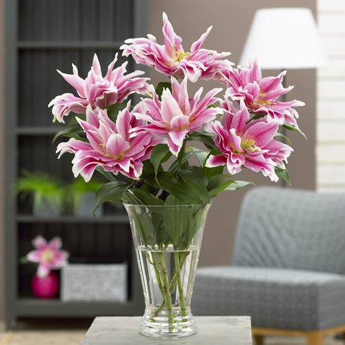 Ziedi ne vien daiļo māju,bet arī atbrīvo no stresa. Ja dārzs ienāk istabā..........
stadisim.lv